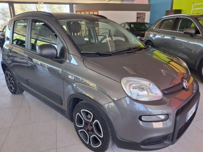Fiat Panda 1.0 firefly hybrid Pop s&s 70cv (4)