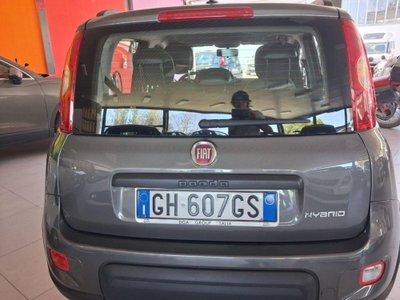 Fiat Panda 1.0 firefly hybrid Pop s&s 70cv (5)