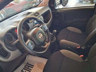 Fiat Panda 1.0 firefly hybrid Pop s&s 70cv (6)