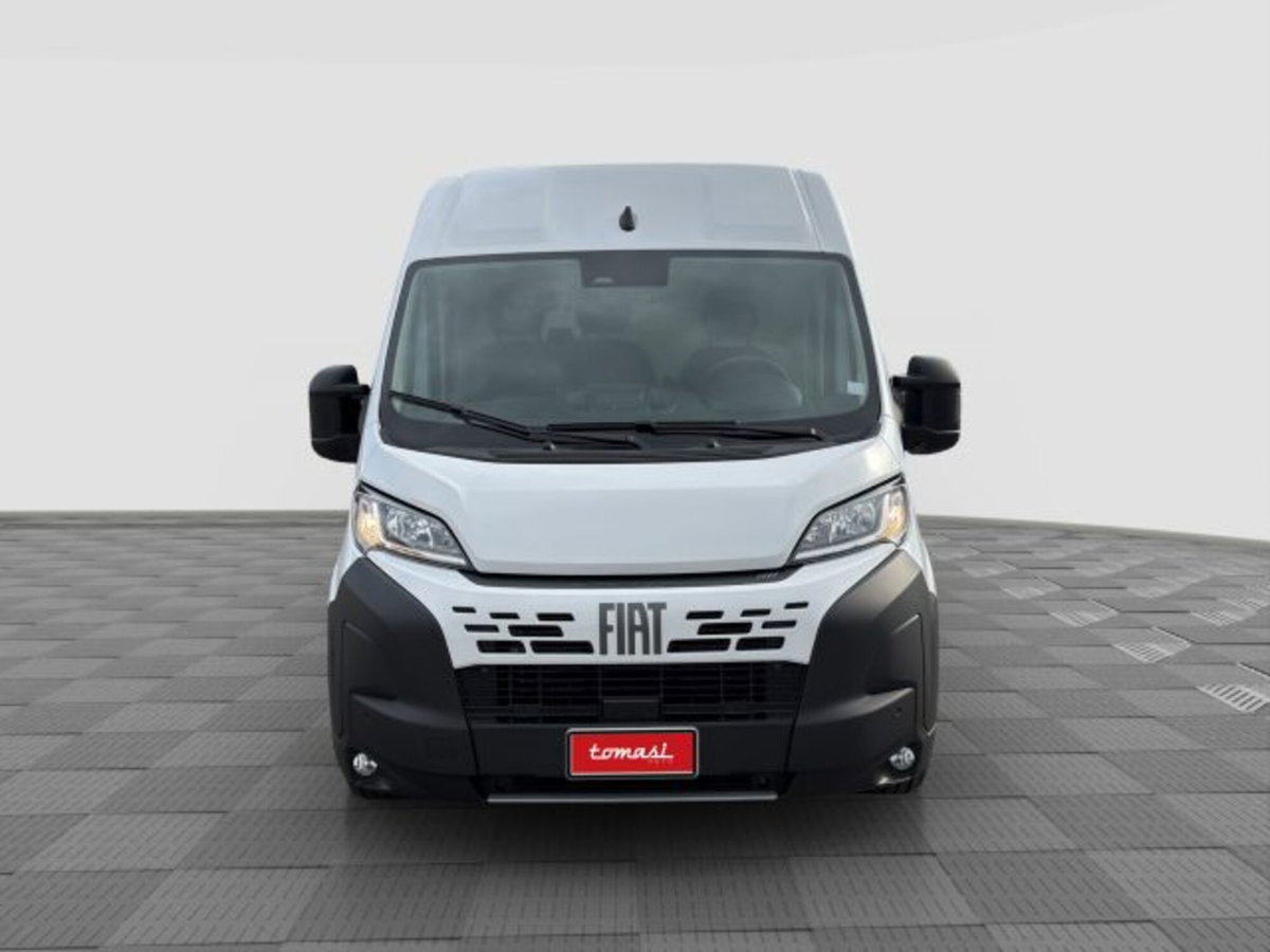 Fiat Ducato Furgone 35 2.2 Mjt 140CV PLMX-TM Maxi HD (8)