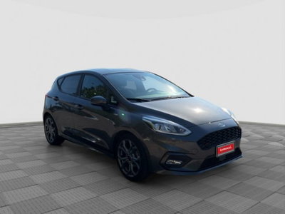 Ford Fiesta 1.0 Ecoboost 95 CV 5 porte ST-Line (7)