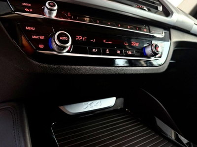BMW X4 xDrive20d Business Advantage Aut. (17)