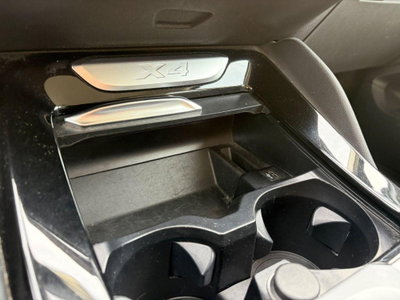 BMW X4 xDrive20d Business Advantage (18)
