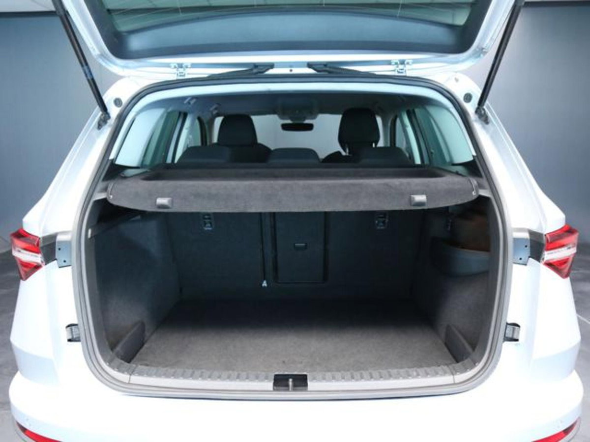 Skoda Karoq 2.0 tdi Executive 115cv (7)