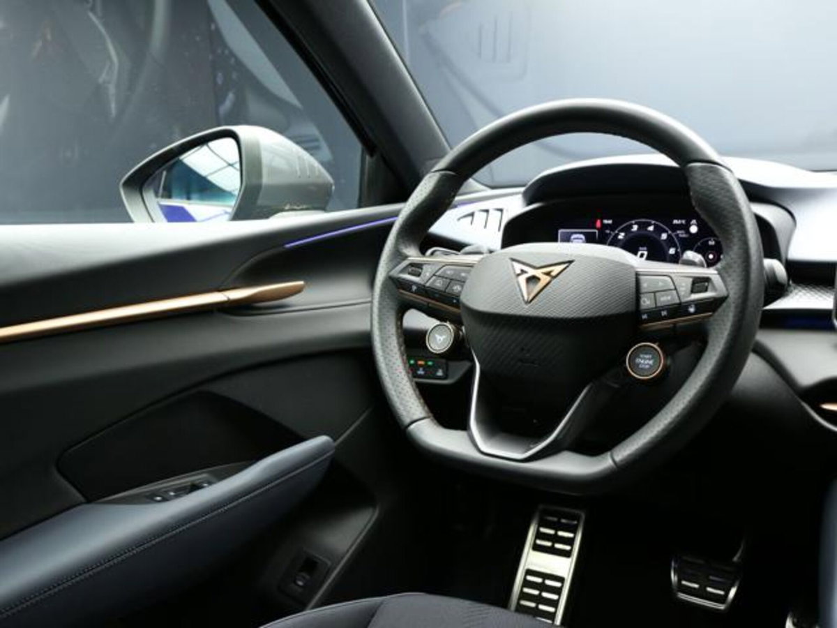Cupra Terramar 1.5 hybrid 150cv dsg (13)