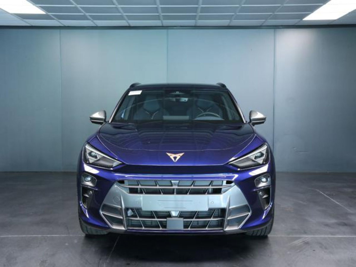 Cupra Terramar 1.5 hybrid 150cv dsg (2)