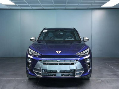 Cupra Terramar 1.5 hybrid 150cv dsg (2)