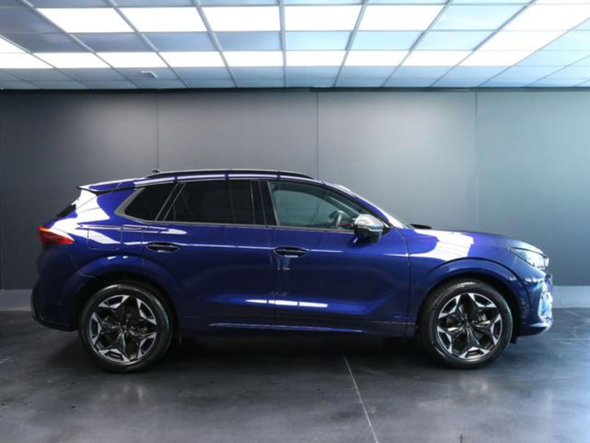 Cupra Terramar 1.5 hybrid 150cv dsg (6)