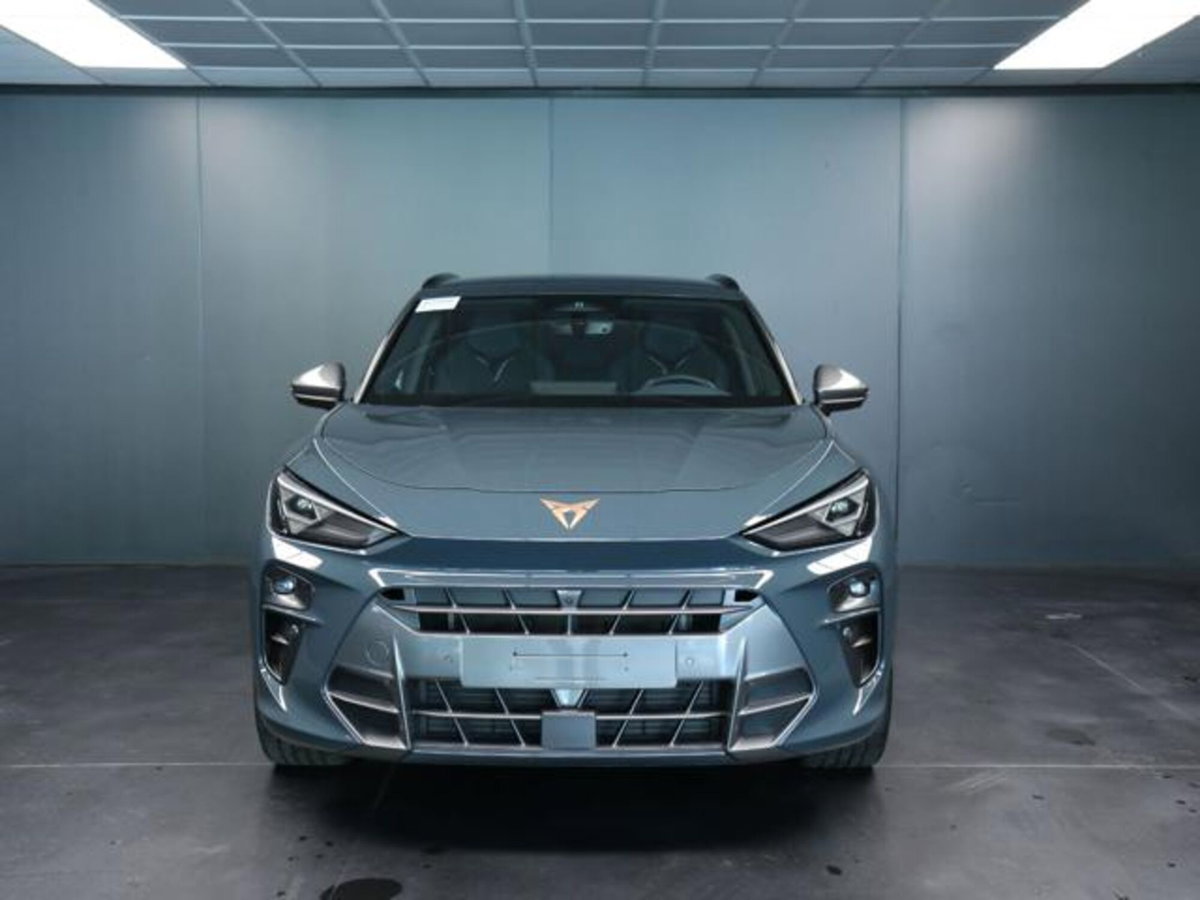 Cupra Terramar 1.5 hybrid 150cv dsg (2)