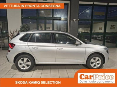 Skoda Kamiq 1.0 tsi Selection 115cv (8)