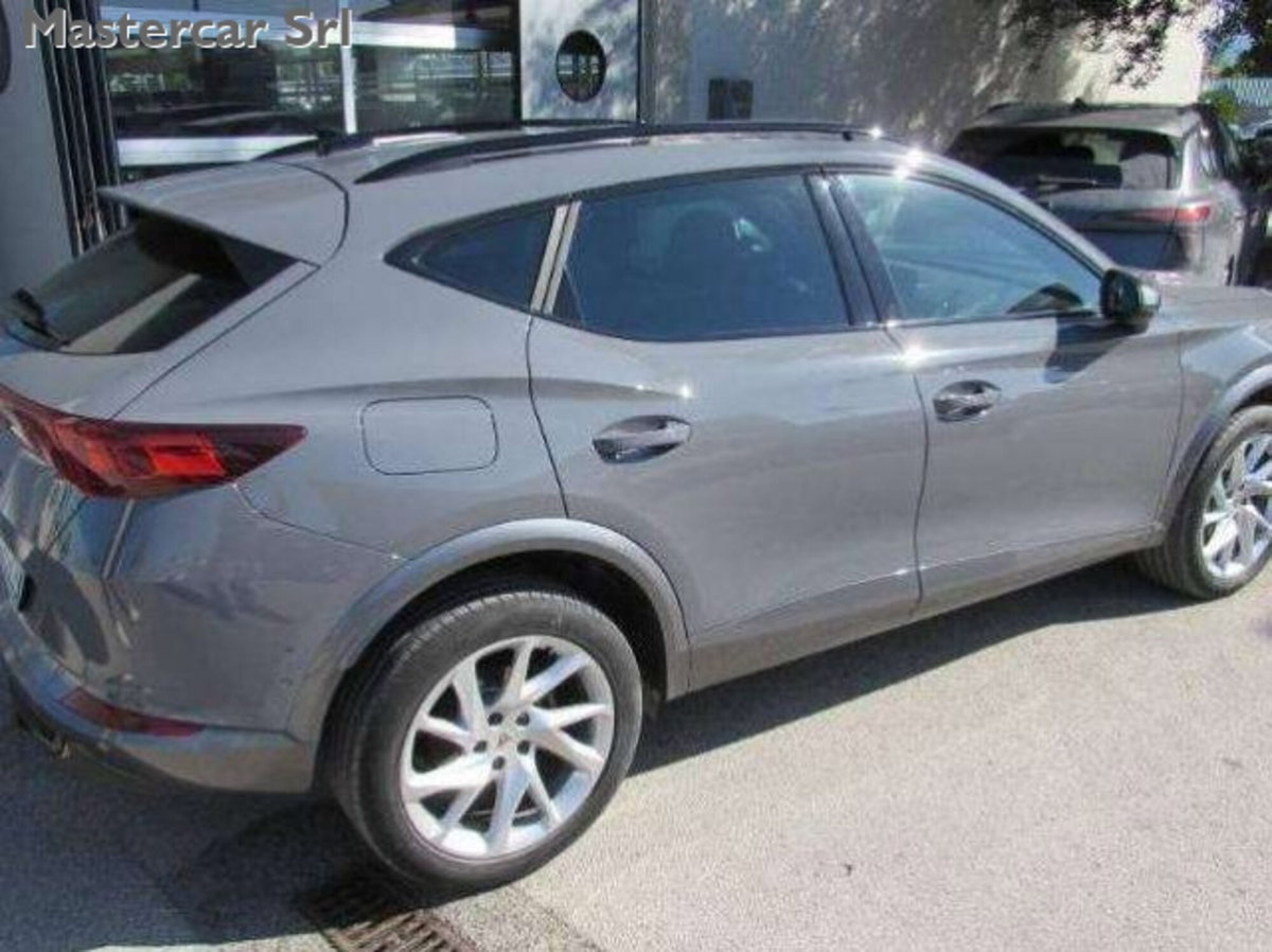 Cupra Formentor Formentor 2.0 TDI (6)