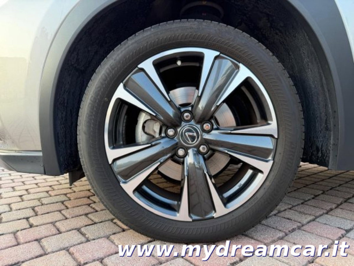 Lexus UX Hybrid 4WD Executive (10)