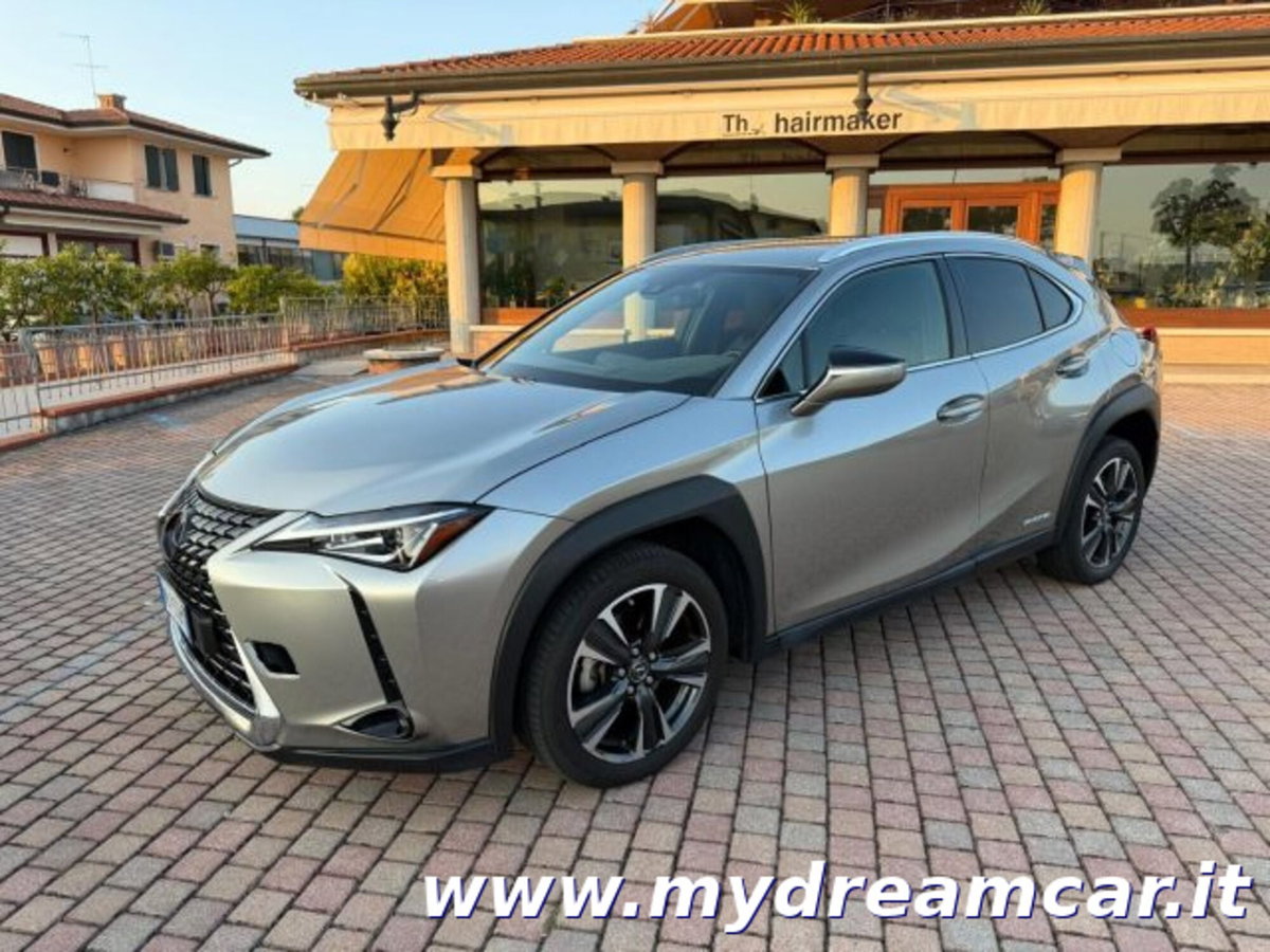 Lexus UX Hybrid 4WD Executive (2)
