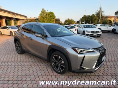 Lexus UX Hybrid 4WD Executive (3)