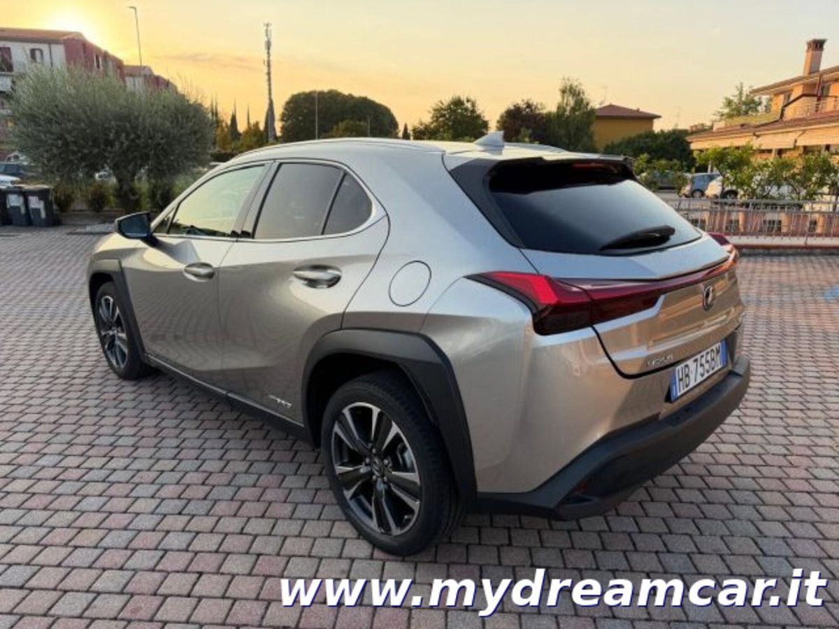 Lexus UX Hybrid 4WD Executive (4)