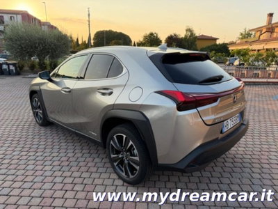 Lexus UX Hybrid 4WD Executive (4)