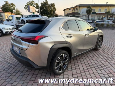 Lexus UX Hybrid 4WD Executive (5)