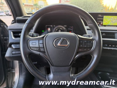 Lexus UX Hybrid 4WD Executive (6)