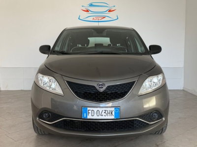 Lancia Ypsilon 1.2 69 CV 5 porte Platinum usata