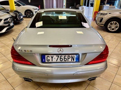 Mercedes-Benz SL 500 cat (10)