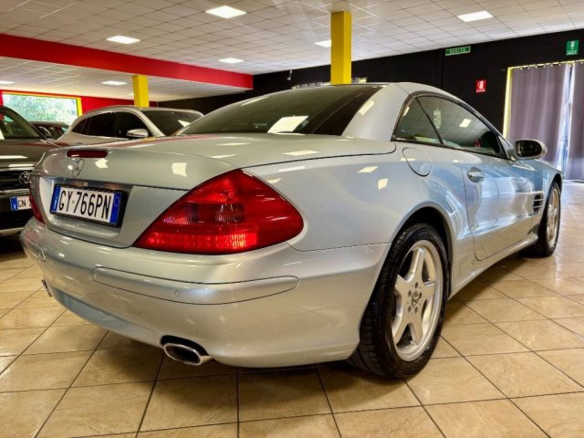 Mercedes-Benz SL 500 cat (11)