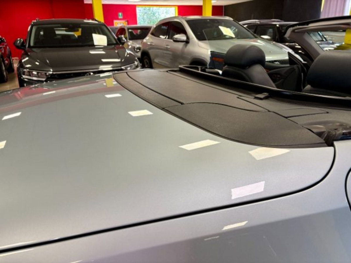 Mercedes-Benz SL 500 cat (12)