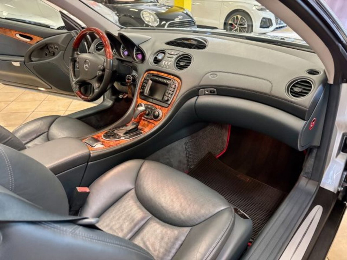 Mercedes-Benz SL 500 cat (14)