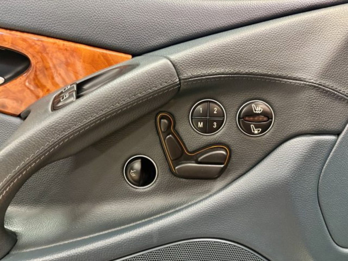 Mercedes-Benz SL 500 cat (15)