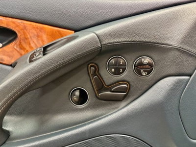 Mercedes-Benz SL 500 cat (15)