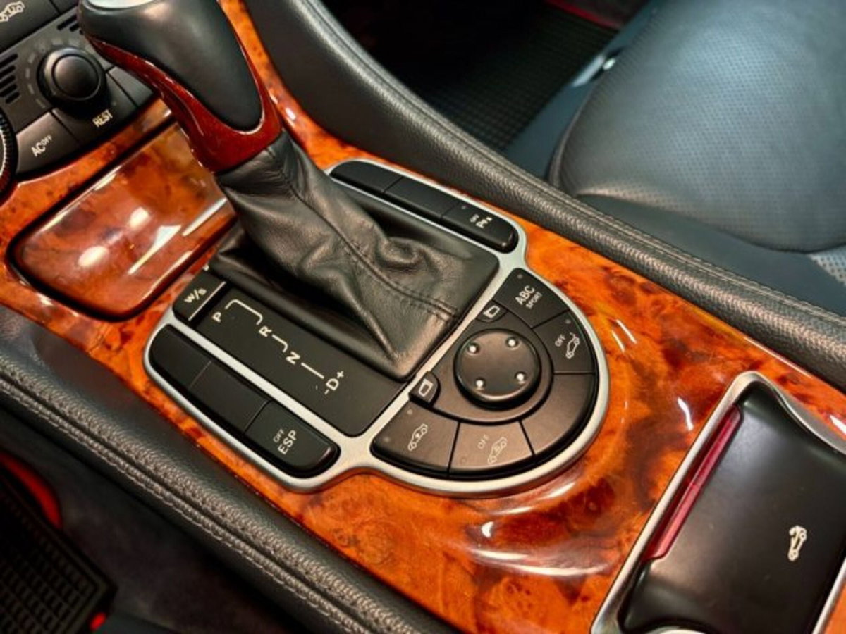 Mercedes-Benz SL 500 cat (16)