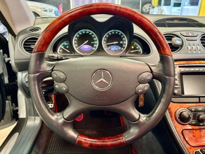 Mercedes-Benz SL 500 cat (17)