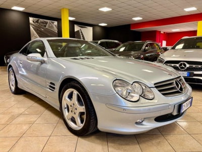 Mercedes-Benz SL 500 cat (2)
