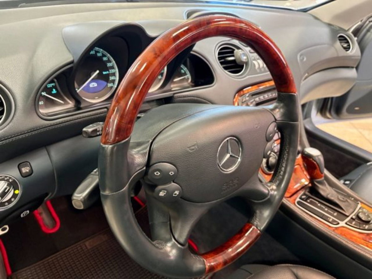Mercedes-Benz SL 500 cat (20)
