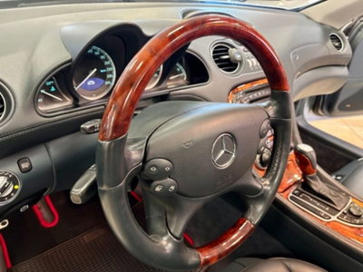 Mercedes-Benz SL 500 cat (20)