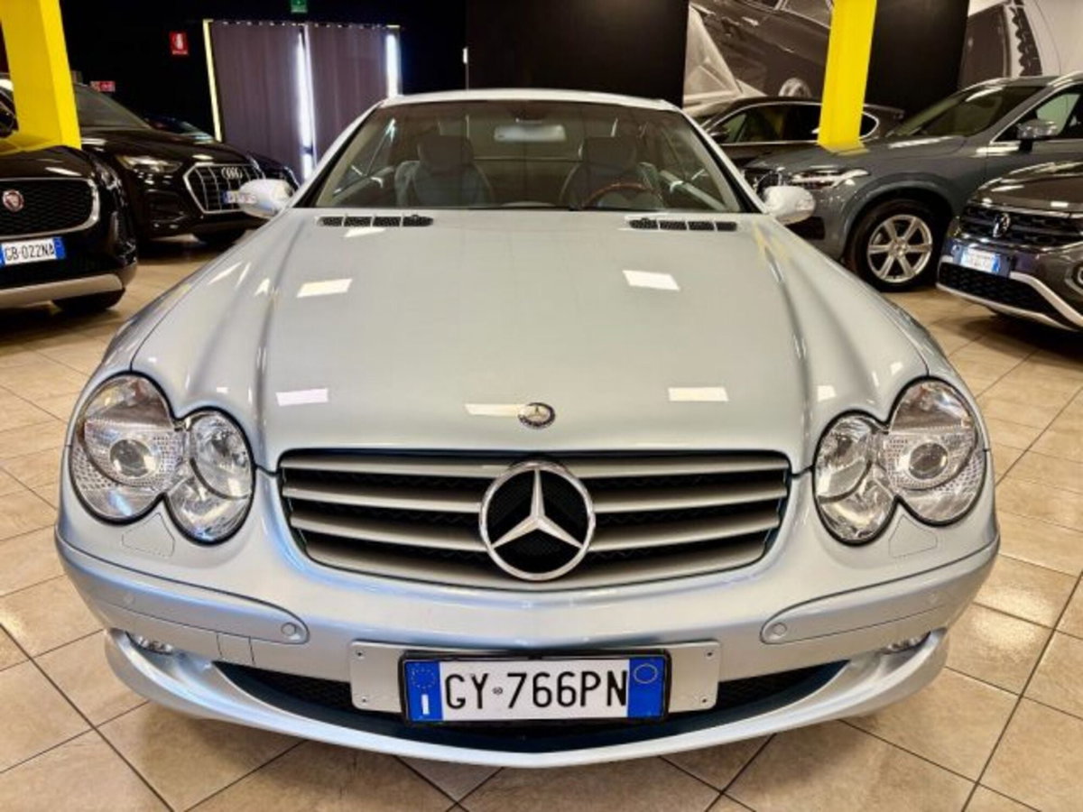 Mercedes-Benz SL 500 cat (3)