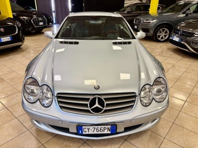 Mercedes-Benz SL 500 cat (4)