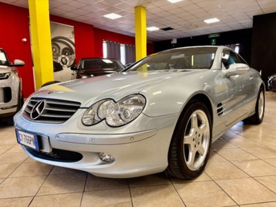 Mercedes-Benz SL 500 cat (5)