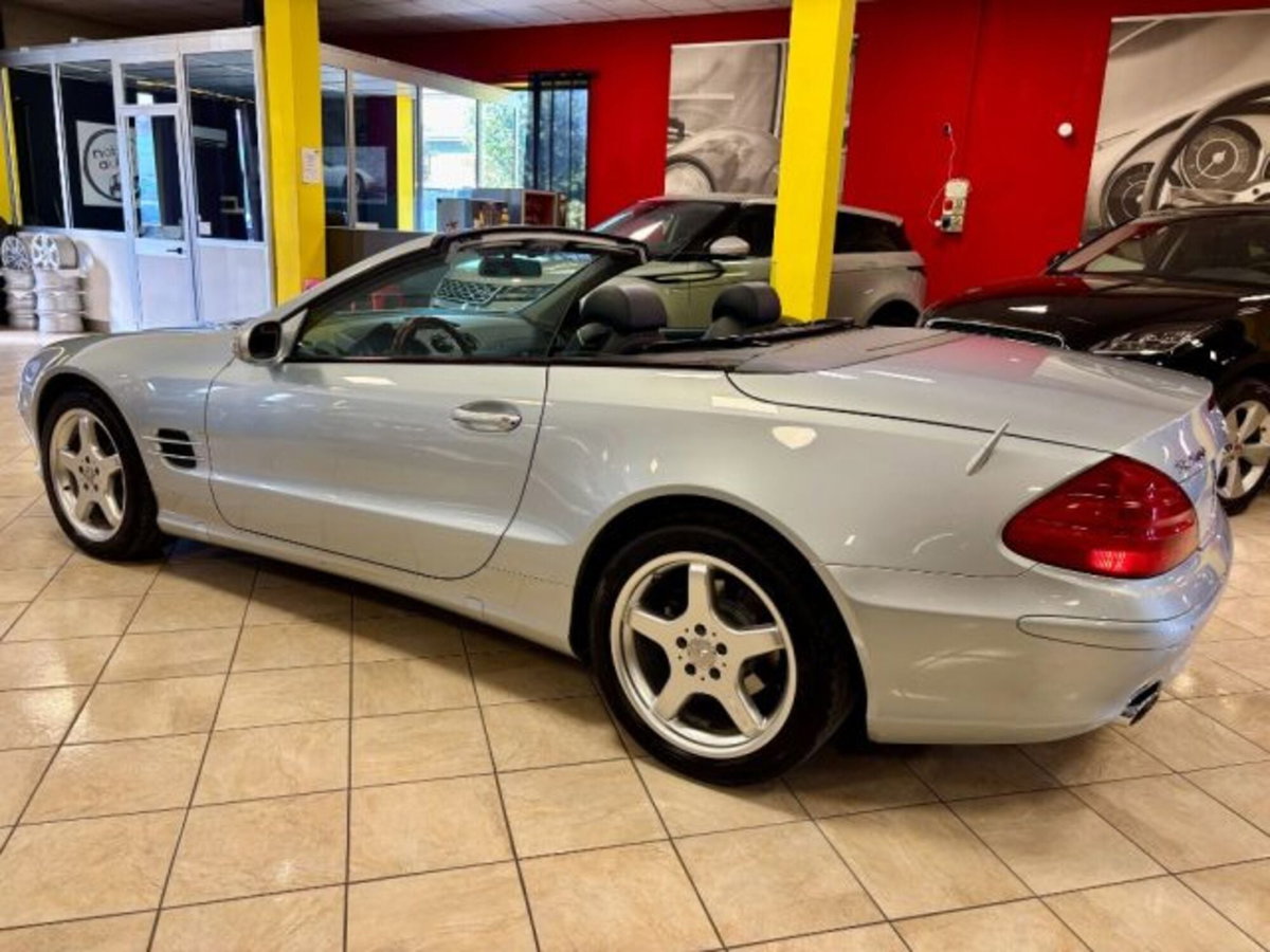 Mercedes-Benz SL 500 cat (6)