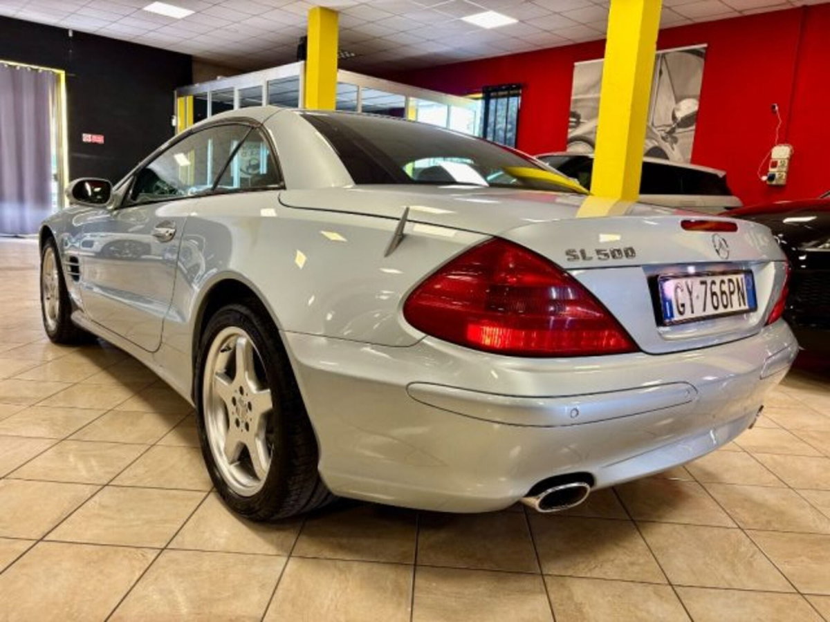 Mercedes-Benz SL 500 cat (7)