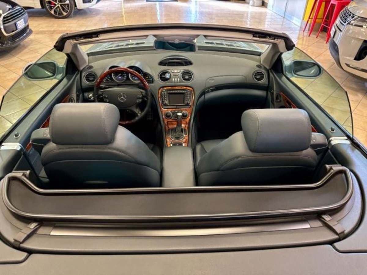Mercedes-Benz SL 500 cat (8)