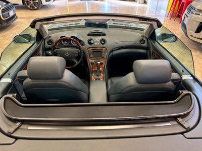 Mercedes-Benz SL 500 cat (8)