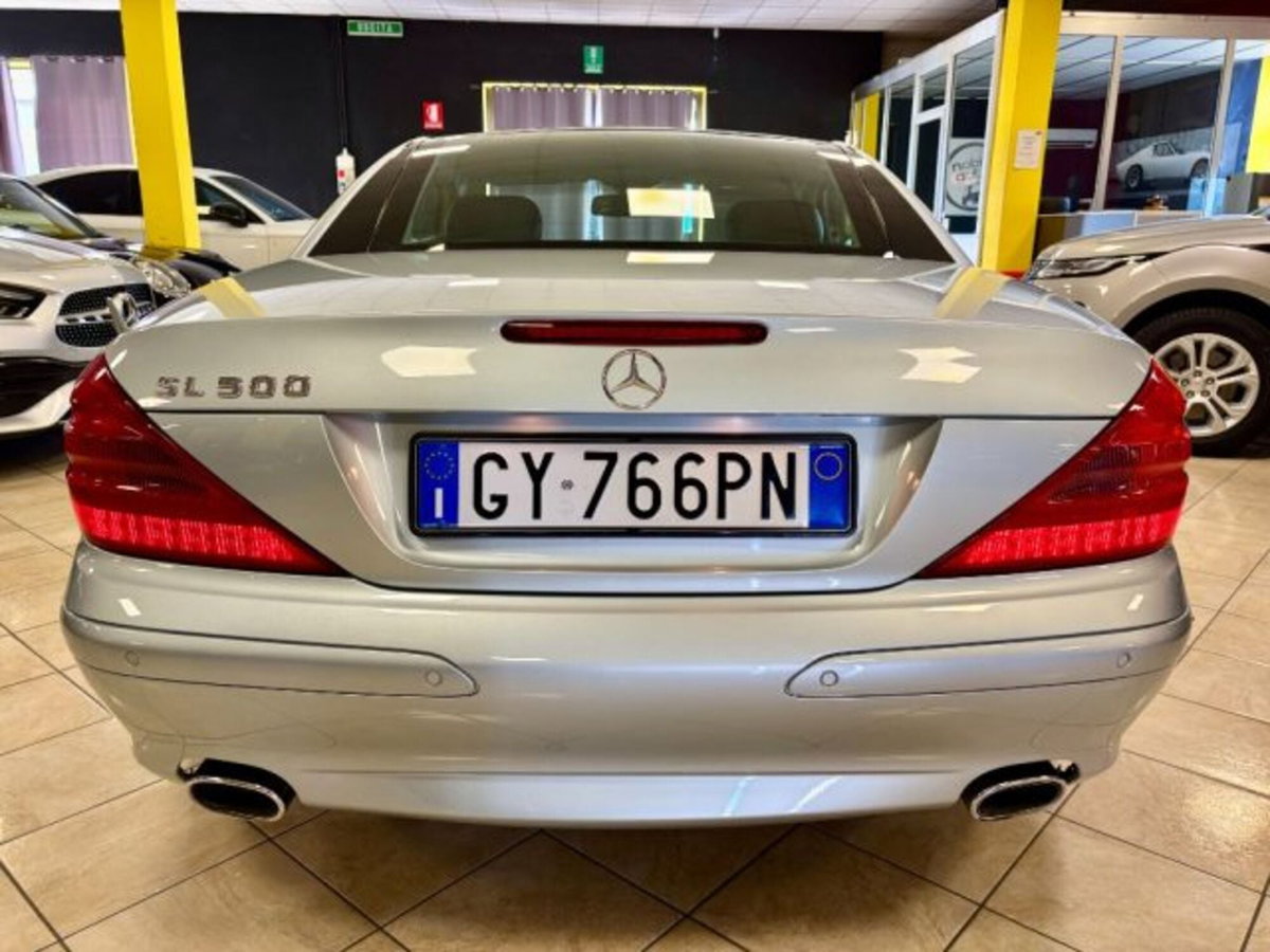 Mercedes-Benz SL 500 cat (9)
