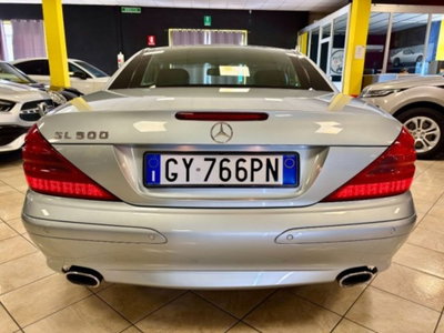 Mercedes-Benz SL 500 cat (9)