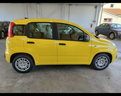 Fiat Pandina 1.0 firefly hybrid Icon s&s 65cv (5)