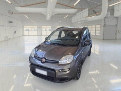 Fiat Panda 1.0 firefly hybrid s&s 70cv 5p.ti usata