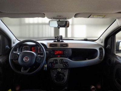 Fiat Panda 1.0 firefly hybrid s&s 70cv 5p.ti (2)