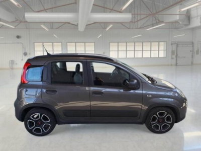 Fiat Panda 1.0 firefly hybrid s&s 70cv 5p.ti (5)