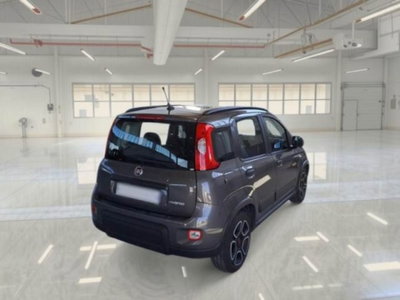Fiat Panda 1.0 firefly hybrid s&s 70cv 5p.ti (8)