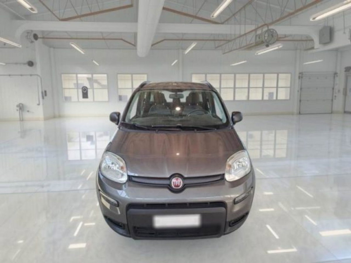 Fiat Panda 1.0 firefly hybrid s&s 70cv 5p.ti (9)