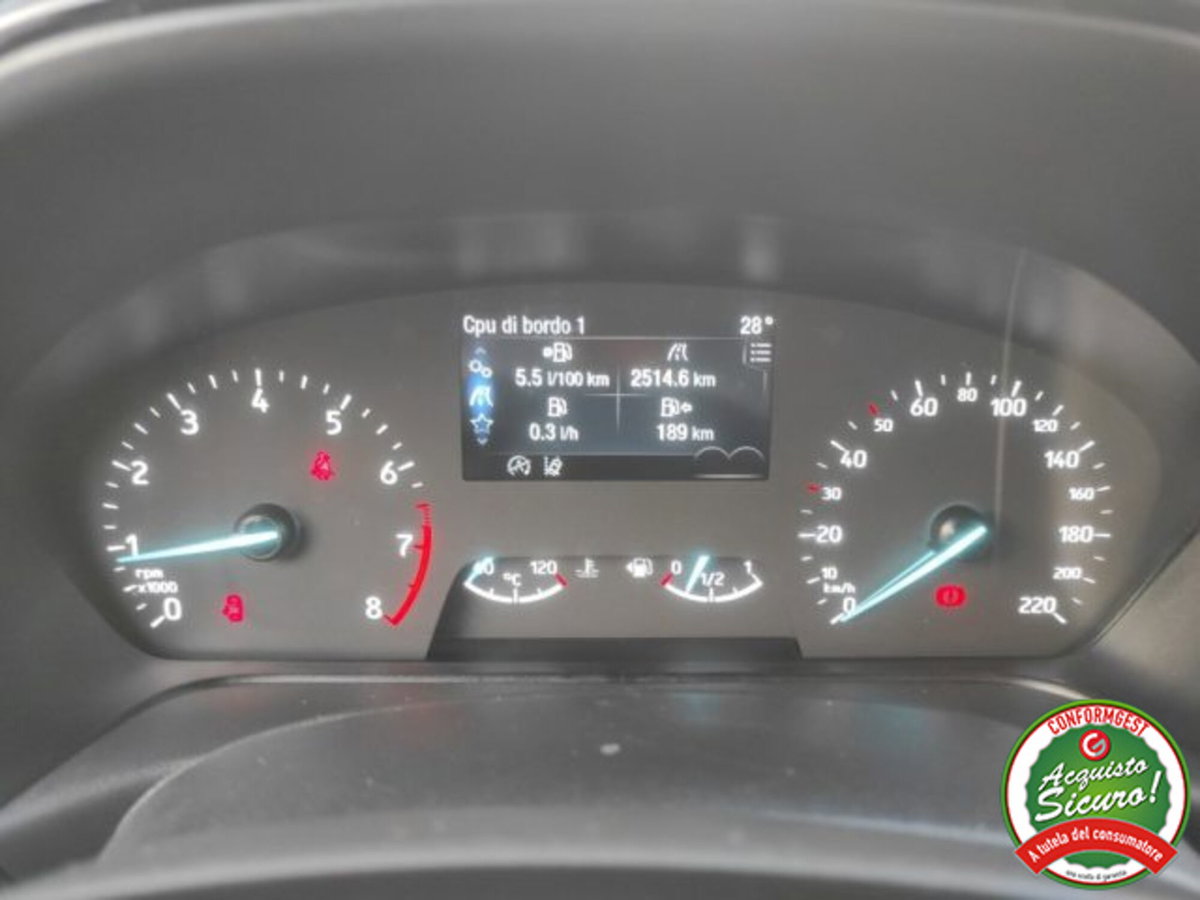 Ford Fiesta 1.0 Ecoboost Hybrid 125 CV 5 porte Titanium (14)